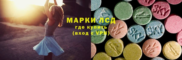 PSILOCYBIN Алзамай