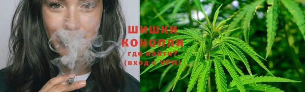 PSILOCYBIN Алзамай