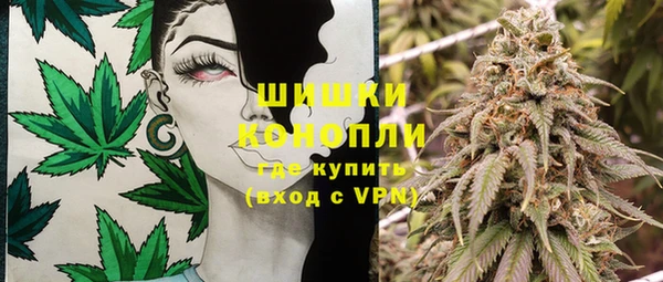 PSILOCYBIN Алзамай