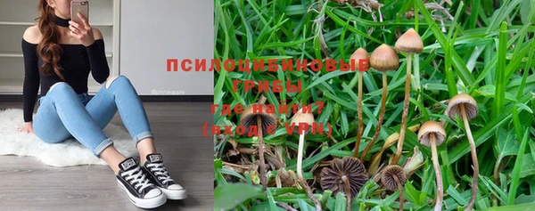 PSILOCYBIN Алзамай