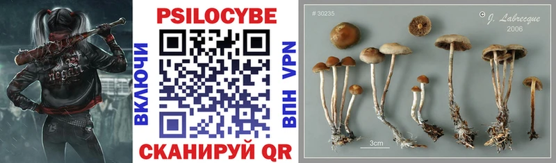 Галлюциногенные грибы Magic Shrooms  Суджа 